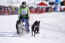 Lenk 2013